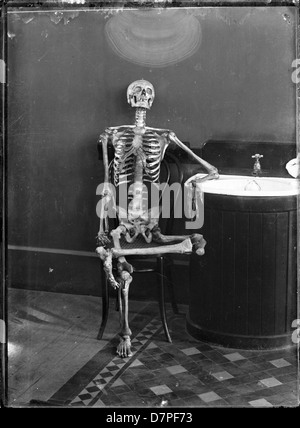 Cette photographie capture un portrait détaillé d'un squelette articulé assis sur une chaise en bois rond. L'image met en évidence l'anatomie du squelette en position assise, en mettant l'accent sur la structure et la posture. Banque D'Images