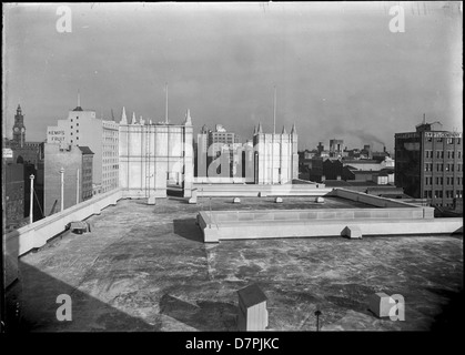 Cette image capture une vue du toit de Sydney, prise depuis l'église écossaise et exposée dans la collection du Powerhouse Museum. La photographie présente les gratte-ciel et les caractéristiques architecturales de la ville, offrant un aperçu de l'architecture historique et du paysage urbain de Sydney. Banque D'Images
