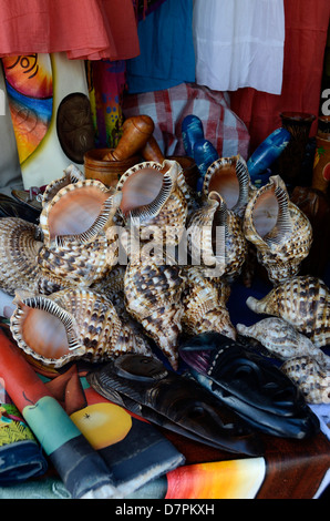 Les coquillages souvenir à Philipsburg, Saint-Martin, Antilles néerlandaises Banque D'Images