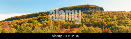 Kelso / Glen Eden Conservation dans Milton couleurs d'automne à vieilles forêts sur le dessus de l'escarpement Banque D'Images