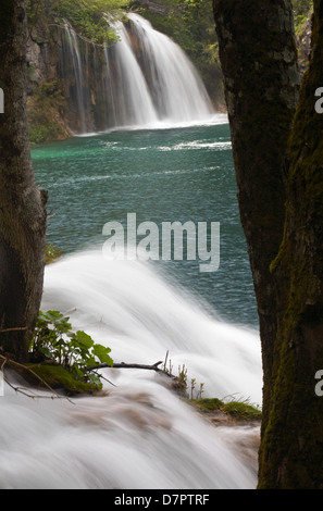 Cascades et lacs du parc national lacs de Plitvice, un site du patrimoine mondial de l'UNESCO, en Croatie en mai - Parc national de Plitvice Banque D'Images