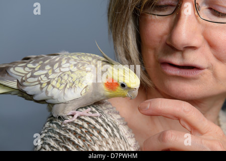 Ambiance animal femelle cockatiel perle oiseau sur l'épaule de femme regardant son doigt Banque D'Images