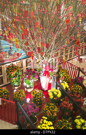 dh Jumbo Floating Restaurant ABERDEEN HONG KONG Chinois nouvel an fleurs mobilier orangers et décorations fleurs Banque D'Images