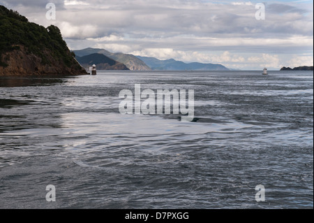 Eddies sur l'eau vu d'un bateau à l'entrée est de la French Pass en haut de l'ile sud Nouvelle Zelande Banque D'Images