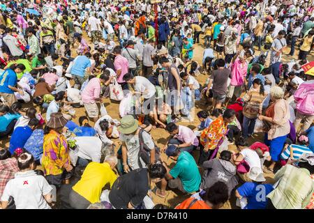 Bangkok, Thaïlande. 13 mai, 2013. Des milliers s'entassent dans le sol labouré de recueillir des semences de riz béni à la cérémonie du Labour Royal. Après la cérémonie, des milliers de Thaïlandais, le plus souvent la famille formers, Rush sur le sol labouré pour ramasser le riz béni les graines semées par les prêtres brahmanes. La cérémonie du Labour Royal est tenue en Thaïlande pour marquer le début de la saison de culture du riz. La date est généralement en mai, mais est déterminé par les astrologues de la cour et varient d'année en année. Au cours de la cérémonie, deux boeufs sacrés sont attelés à une charrue en bois et labourer un champ de petite taille sur Sanam Lua Banque D'Images