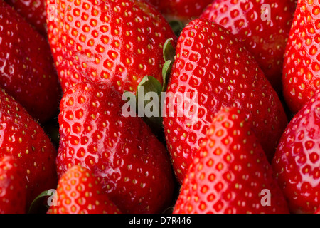 Close up of strawberries Banque D'Images
