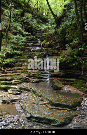 Sur la rivière Breggia vallée Muggio sur la partie italienne de la Suisse Banque D'Images