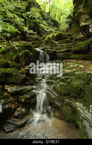 Sur la rivière Breggia vallée Muggio sur la partie italienne de la Suisse Banque D'Images