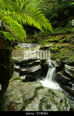 Sur la rivière Breggia vallée Muggio sur la partie italienne de la Suisse Banque D'Images