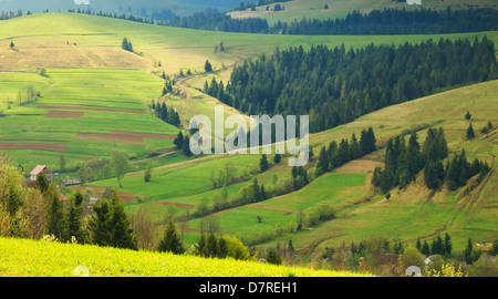 Matin de printemps paysage rural dans les Carpates. Les rayons de soleil illuminent les collines colorées Banque D'Images