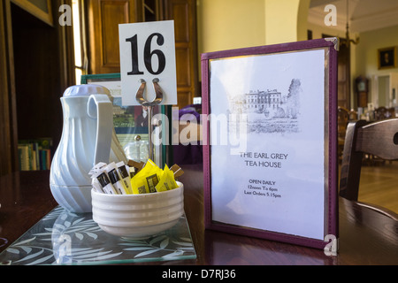 Le salon de thé à Howick Hall dans le Northumberland, l'accueil de l'Earl Grey. Banque D'Images