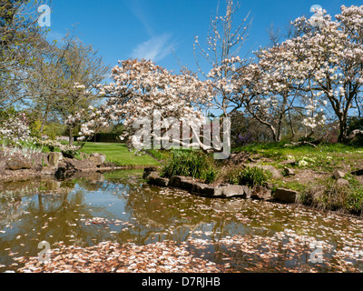 Le jardin d'eau à Cliveden House, une propriété du National Trust dans Bucks, UK Banque D'Images