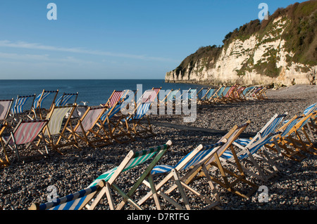 Transats sur la plage, la bière, le Devon, England, UK Banque D'Images