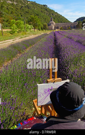 La peinture de l'artiste dans les champs de lavande à l'Abbaye Notre-dame de l'Abbaye de Senanque( Senaque ) , Gordes, Provence, France Banque D'Images