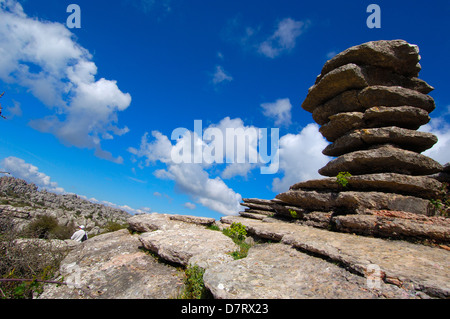 Groupe de travail sur l'érosion des calcaires du Jurassique, Torcal de Antequera. La province de Malaga, Andalousie, Espagne Banque D'Images