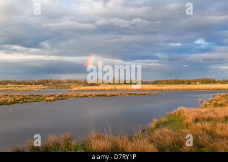 Petit arc-en-ciel sur swamp en néerlandais les terres agricoles, Pays-Bas Banque D'Images