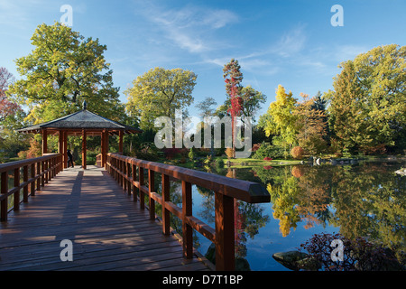 Jardin japonais à Wroclaw, Pologne Banque D'Images