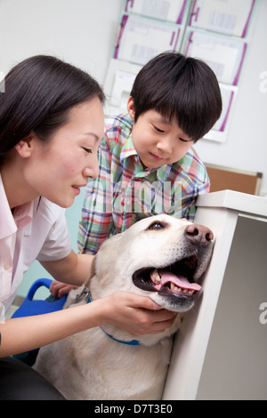 Garçon avec chien dans le bureau du vétérinaire Banque D'Images