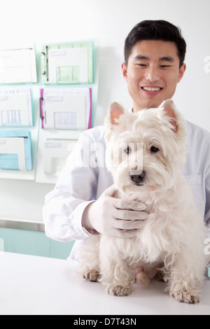 Bureau de vétérinaire avec chien dans Banque D'Images