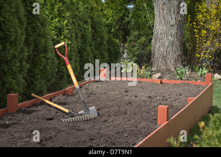 Une bêche et un râteau dans le sol dans le lit de légumes surélevé dans le jardin. Gros plan des outils de sol de préparation personne au-dessus de l'horizontale haute résolution Banque D'Images