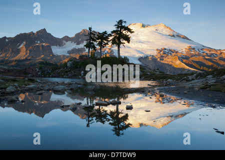 USA, l'État de Washington, Mount Baker National Recreation Area, Parc Butte, Mount Baker reflétée dans alpine tarn Banque D'Images