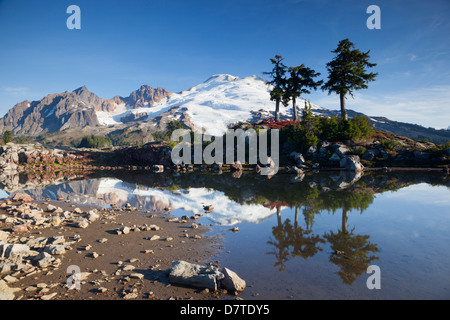 USA, l'État de Washington, Mount Baker National Recreation Area, Parc Butte, Mount Baker reflétée dans alpine tarn Banque D'Images