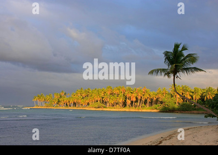 La plage de Las Galeras, péninsule de Samana, République Dominicaine Banque D'Images