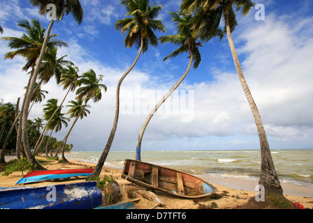 La plage de Las Terrenas, péninsule de Samana, République Dominicaine Banque D'Images