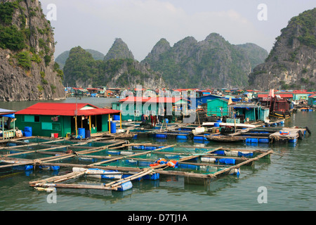 Village de pêcheurs flottant, Halong Bay, Vietnam Banque D'Images