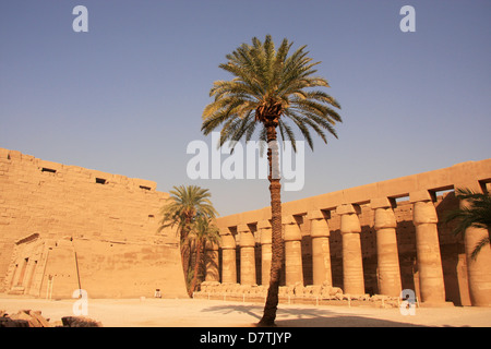 Complexe du temple de Karnak, Louxor, Egypte Banque D'Images