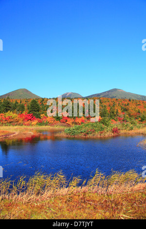 L'automne à Hakkoda, préfecture d'Aomori Banque D'Images