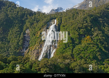 Cascade, Milford Sound, Fiordland National Park, site du patrimoine mondial de l'UNESCO, Southland, île du Sud, Nouvelle-Zélande Banque D'Images