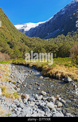 Rivière, Milford Track, Fiordland National Park, site du patrimoine mondial de l'UNESCO, l'île du Sud, Nouvelle-Zélande Banque D'Images