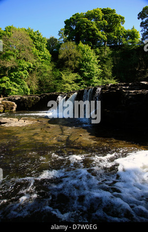 Aysgarth Falls, North Yorkshire, Yorkshire, Angleterre, Royaume-Uni Banque D'Images