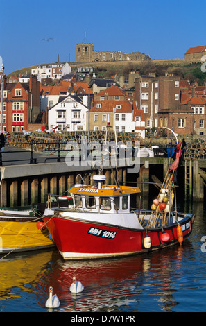 Vue sur le port de pêche à St Mary's Church, Whitby, Yorkshire, Angleterre, Royaume-Uni Banque D'Images