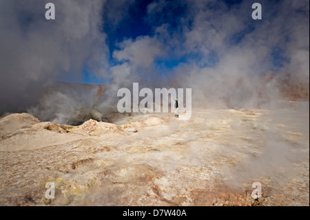 Les geysers Sol de Manana, un champ géothermique à une hauteur de 5000 mètres, la Bolivie, l'Amérique du Sud Banque D'Images
