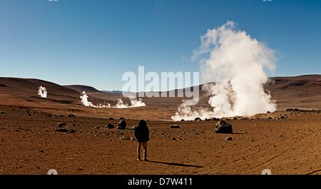 Les geysers Sol de Manana, un champ géothermique à une hauteur de 5000 mètres, la Bolivie, l'Amérique du Sud Banque D'Images