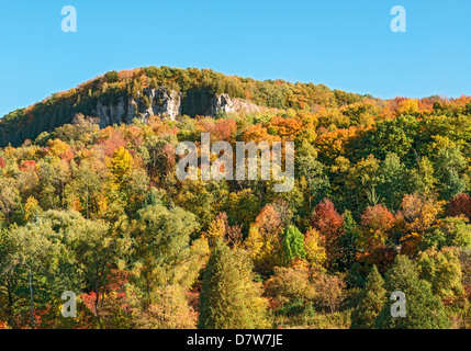 Kelso / Glen Eden Conservation dans Milton couleurs d'automne à vieilles forêts sur le dessus de l'escarpement Banque D'Images