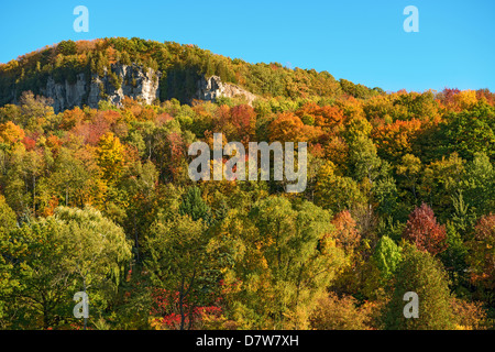 Kelso / Glen Eden Conservation dans Milton couleurs d'automne à vieilles forêts sur le dessus de l'escarpement Banque D'Images