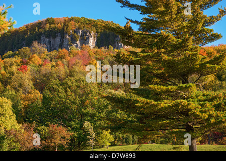 Kelso / Glen Eden Conservation dans Milton couleurs d'automne à vieilles forêts sur le dessus de l'escarpement Banque D'Images