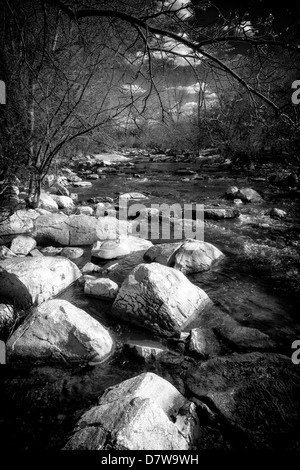 Image en noir et blanc d'un petit ruisseau, s'écoule autour de gros rochers dans la forêt. Banque D'Images