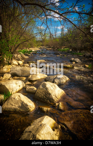 Un petit ruisseau coule, se précipitant autour de gros rochers dans la forêt. Banque D'Images