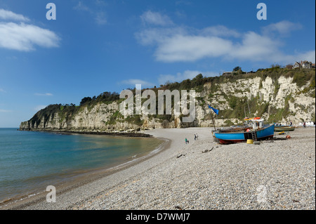 Une plage de galets Beer Devon England uk Banque D'Images