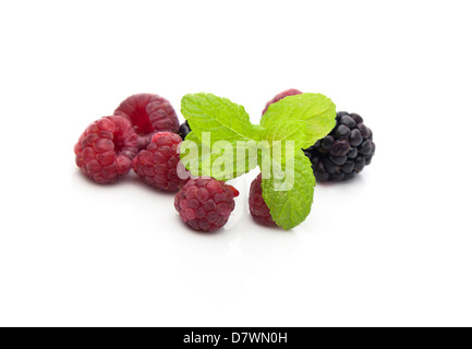 Les mûres et framboises mûres, de feuilles de menthe isolé sur fond blanc Banque D'Images