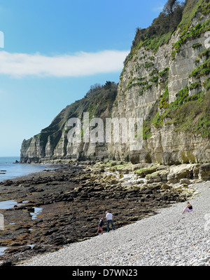 Les gens sur la plage Devon uk Angleterre Bière Banque D'Images