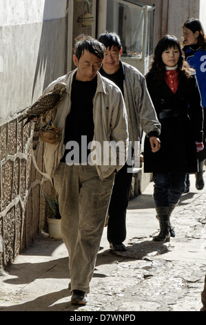 Homme avec un Falcon sur Lijiang old market Banque D'Images