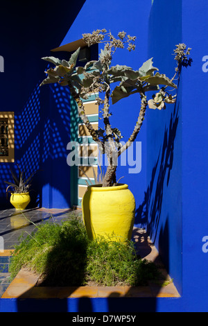 Jardins Majorelle : Composition avec bleu cobalt profond Banque D'Images