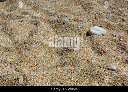 Détail à plage de sable, sable et pierre ronde, au jour d'été ensoleillé. Banque D'Images