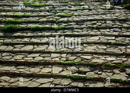 Marches de pierre avec l'herbe au château de Modon à la fin de l'été soleil. Banque D'Images