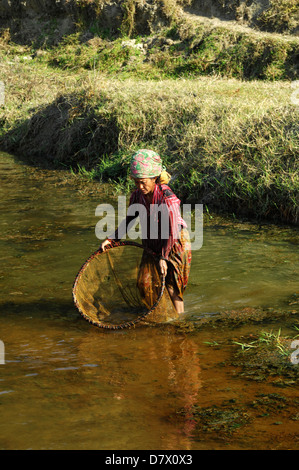 Les népalaises avec filets de pêche traditionnels près de Phokara, Népal Banque D'Images